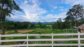 Land for sale in Nong Yaeng, Chiang Mai