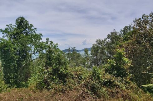 Land for sale in Thep Krasatti, Phuket