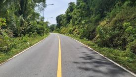 Land for sale in Thep Krasatti, Phuket