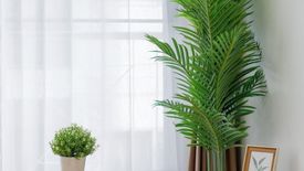 1 Bedroom Condo for sale in Assagarn Place Ramkhamhaeng, Hua Mak, Bangkok near MRT Si Burapha