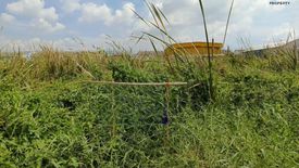 1 Bedroom Land for sale in Lat Sawai, Pathum Thani