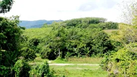 Land for sale in Thep Krasatti, Phuket