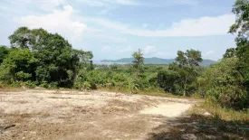 Land for sale in Thep Krasatti, Phuket