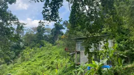 Land for sale in Karon, Phuket
