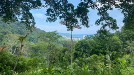 Land for sale in Karon, Phuket