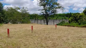 Land for sale in Pa Khlok, Phuket