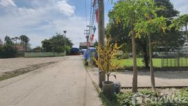 Land for sale in Nong Phueng, Chiang Mai