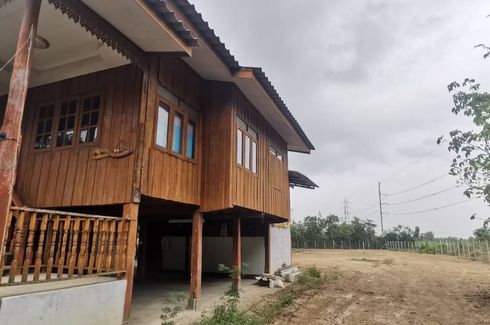 Land for sale in Buak Khang, Chiang Mai