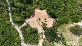 Land for sale in Bo Phut, Surat Thani