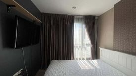 1 Bedroom Condo for rent in The Base Rama 9 - Ramkhamhaeng, Hua Mak, Bangkok near MRT Ramkhamhaeng 12