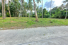 Land for sale in Mae Nam, Surat Thani