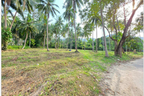 Land for sale in Mae Nam, Surat Thani