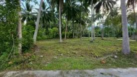 Land for sale in Mae Nam, Surat Thani