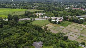 Land for sale in Choeng Doi, Chiang Mai