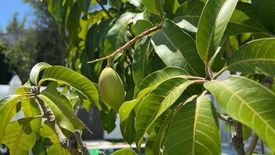 3 Bedroom Villa for sale in Koh Samui Tower, Mae Nam, Surat Thani