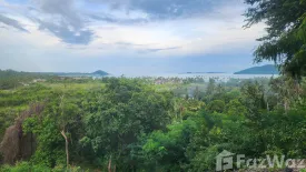 Land for sale in Taling Ngam, Surat Thani