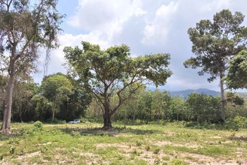 Land for sale in Taling Ngam, Surat Thani