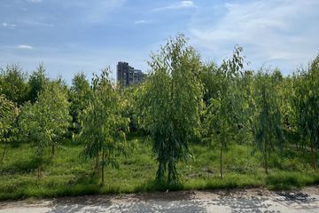 Land for sale in Bang Lamung, Chonburi