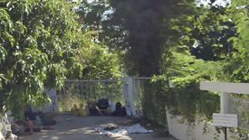 Land for sale in San Phak Wan, Chiang Mai