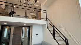 1 Bedroom Condo for rent in Modiz Sukhumvit 50, Phra Khanong, Bangkok near BTS On Nut