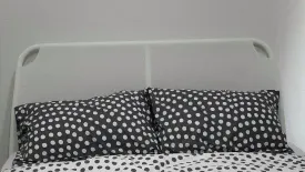 1 Bedroom Condo for rent in Regent Orchid Sukhumvit 101, Bang Chak, Bangkok near BTS Punnawithi