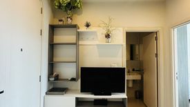 1 Bedroom Condo for rent in THE BASE Downtown - Phuket, Wichit, Phuket