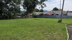 Land for sale in Baan Suan Neramit 3, Si Sunthon, Phuket