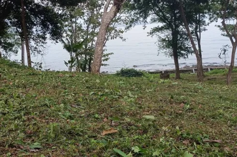 Land for sale in Pa Khlok, Phuket