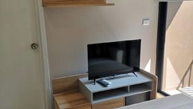 2 Bedroom Condo for rent in The Tree Onnut Station, Bang Chak, Bangkok near BTS On Nut