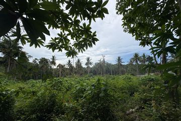 Land for sale in Bo Phut, Surat Thani