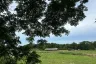 Land for sale in Nong Pla Lai, Chonburi