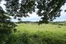 Land for sale in Nong Pla Lai, Chonburi