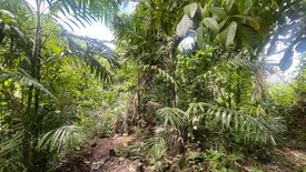 2 Bedroom House for sale in Wichit, Phuket