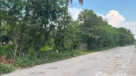 Land for sale in Doi Lo, Chiang Mai