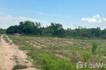 Land for sale in Doi Lo, Chiang Mai