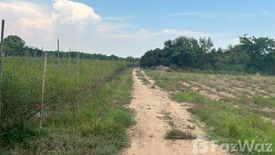 Land for sale in Doi Lo, Chiang Mai