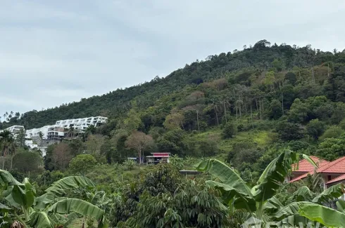 Land for sale in Bo Phut, Surat Thani