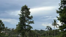 Land for sale in Bo Phut, Surat Thani