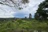 Land for sale in Bo Phut, Surat Thani