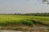 Land for sale in Sam Wa Tawan Ok, Bangkok