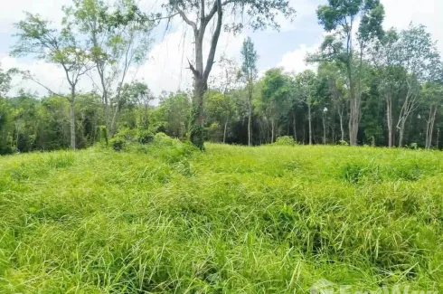 Land for sale in Choeng Thale, Phuket
