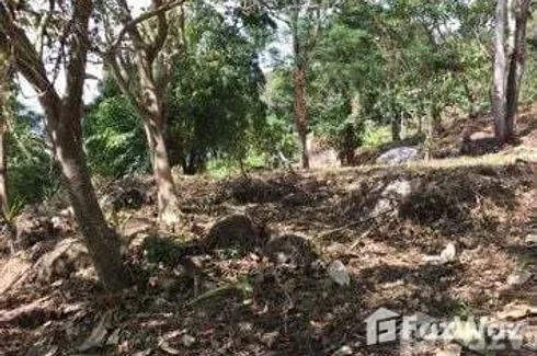 Land for sale in Pa Khlok, Phuket
