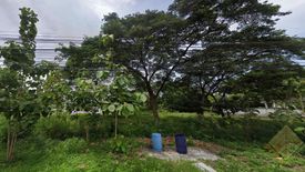 Land for sale in Nong Prue, Chonburi