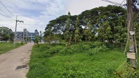 Land for sale in Nong Prue, Chonburi