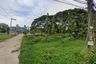 Land for sale in Nong Prue, Chonburi