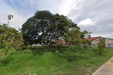 Land for sale in Nong Prue, Chonburi