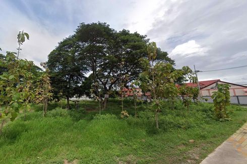 Land for sale in Nong Prue, Chonburi