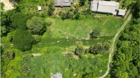 Land for sale in Thep Krasatti, Phuket