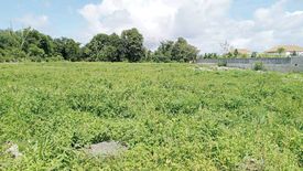 Land for sale in Choeng Thale, Phuket