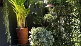 3 Bedroom House for rent in Sho Phatthanakan 32, Suan Luang, Bangkok near Airport Rail Link Hua Mak